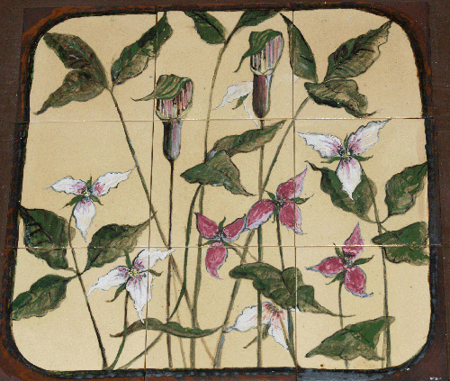 Trilliums Composite