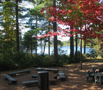 Campfire Pit