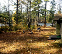 Front Lawn in Autumn