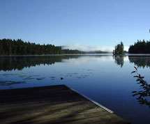 Loon Dock