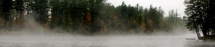 Owl Dock on a Misty Morning
