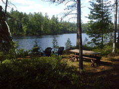 Have a Picnic