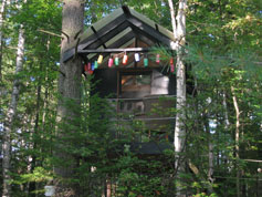 Play in the Treehouse