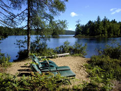 The Morning Beach